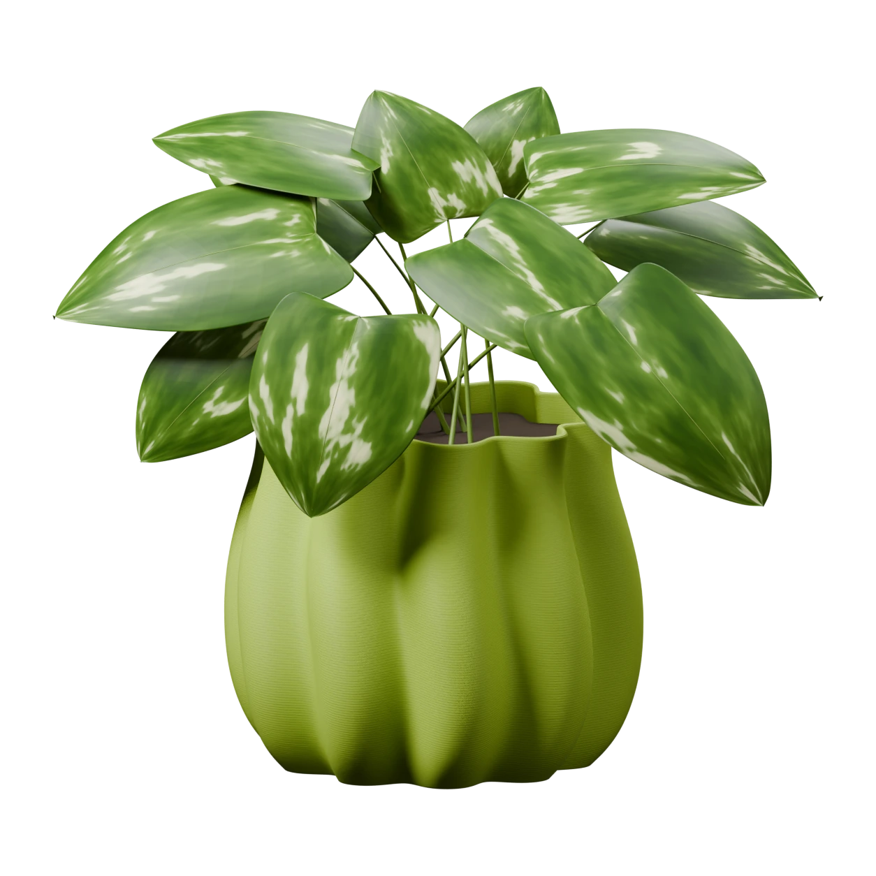3D render of our rounded pistachio planter with flowing flutes and variegated green foliage.